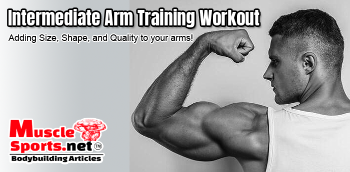 Intermediate Arm Training Workout